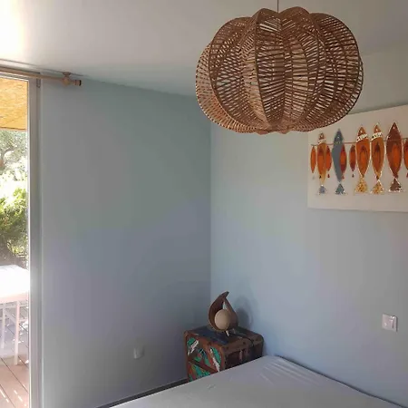 Splendide T3 Piscine Et Vue *