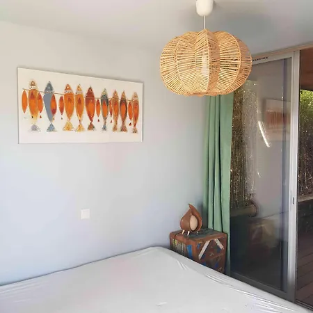 Splendide T3 Piscine Et Vue Appartement