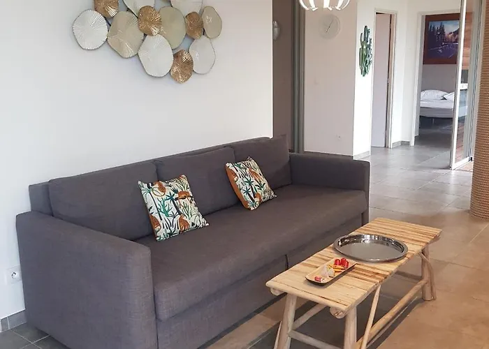 Splendide T3 Piscine Et Vue Appartement