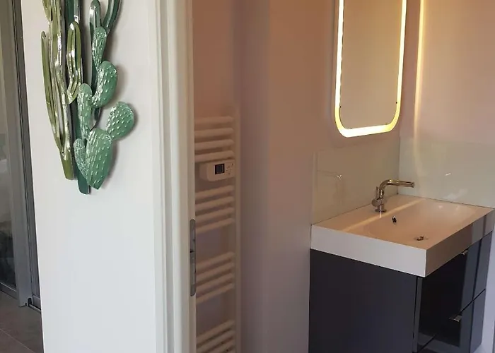 Daire Splendide T3 Piscine Et Vue