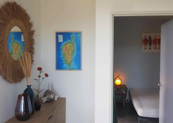 Splendide T3 Piscine Et Vue Grosseto-Prugna