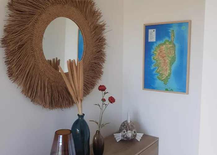 Splendide T3 Piscine Et Vue * Grosseto-Prugna