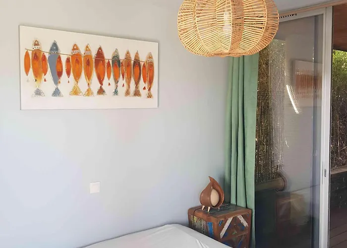 Splendide T3 Piscine Et Vue Daire